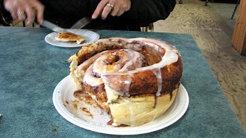 Cinnamon Bun