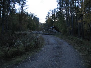 Lower Chatanika Campground